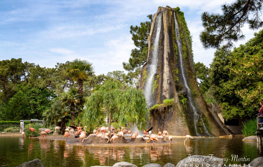 Royan – Zoo de La Palmyre