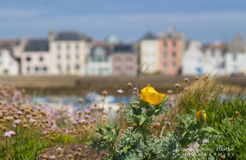 Ile de Sein
