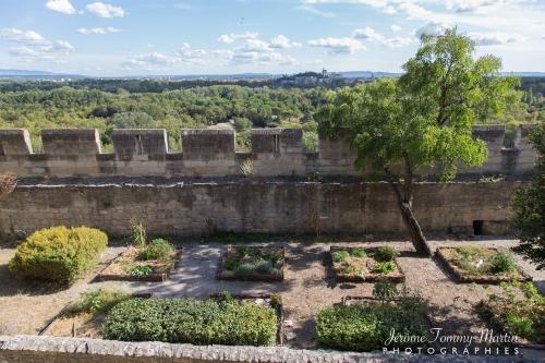 Avignon_035