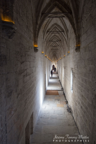 Avignon_097