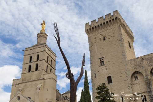Avignon_198