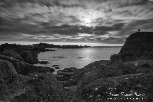 Bretagne-juillet-2017_022N&B