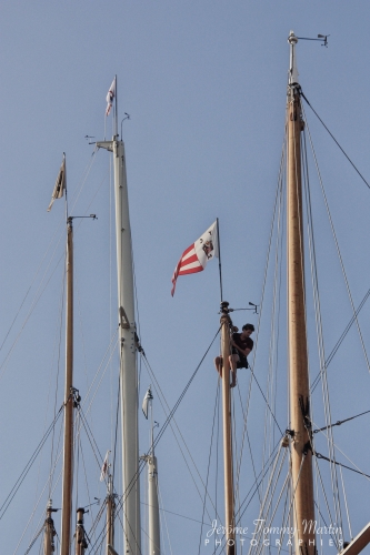 Voiles2012_020