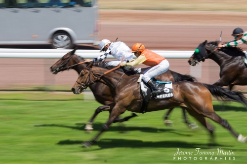 chevaux_027