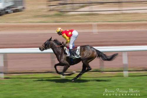 chevaux_028