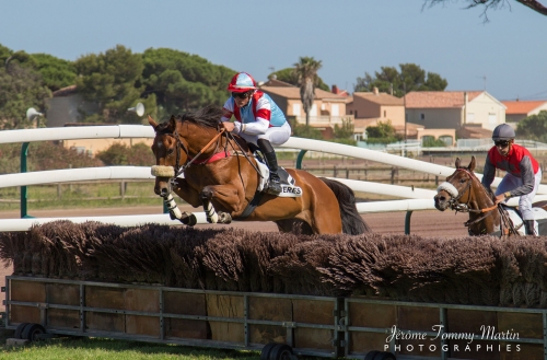 chevaux_082