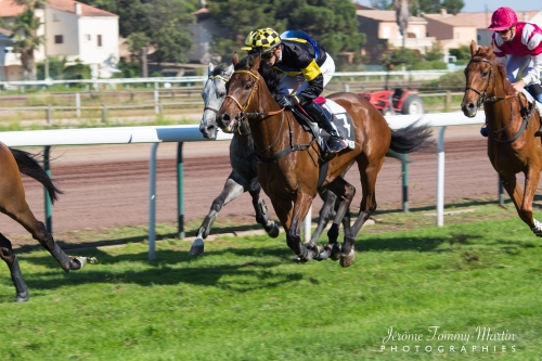 chevaux_097