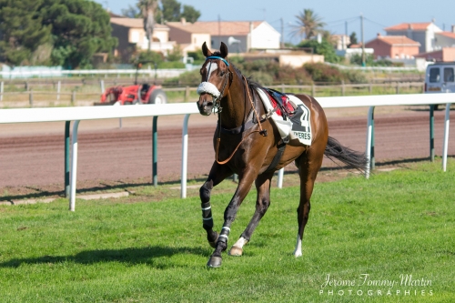 chevaux_112