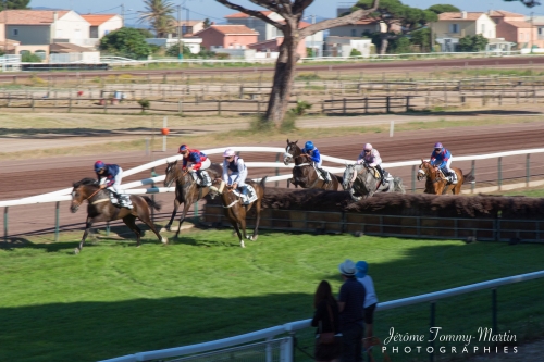 chevaux_131