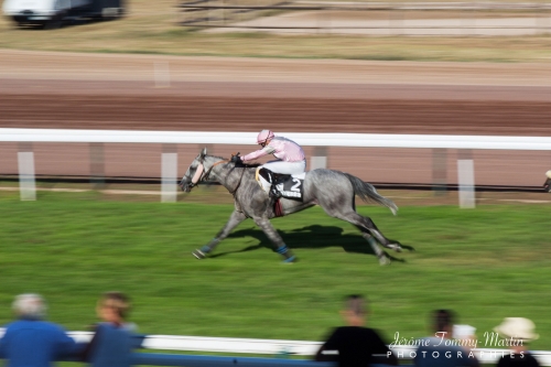 chevaux_141