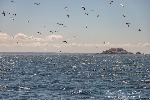 7-iles_038