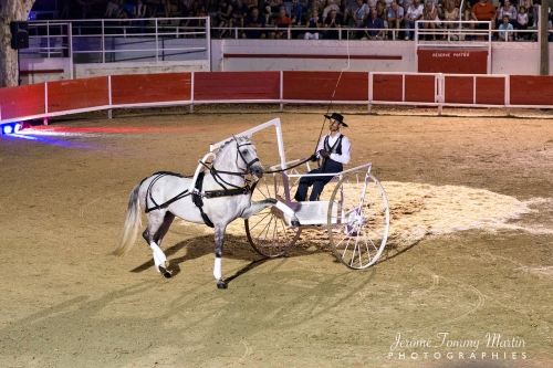 Avignon_032