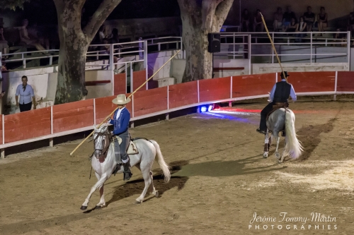 Avignon_115