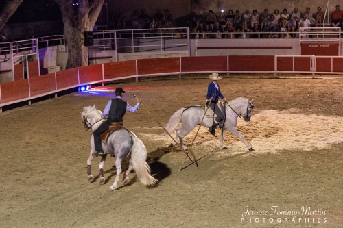 Avignon_121