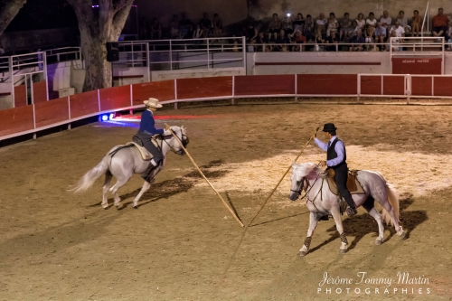 Avignon_124