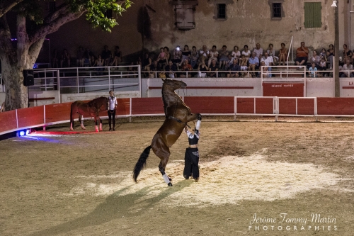 Avignon_149