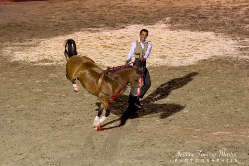 Avignon_165