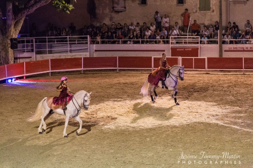 Avignon_212