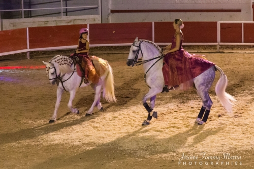 Avignon_219