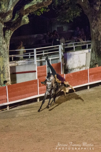 Avignon_229