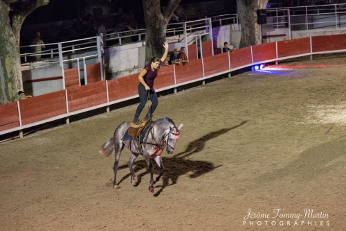 Avignon_245