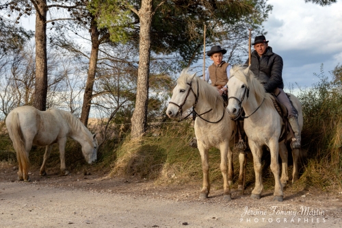 Camargue_255
