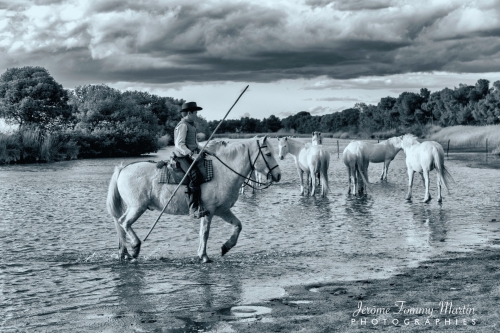 Camargue_326N&B