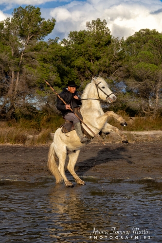 Camargue_370-2