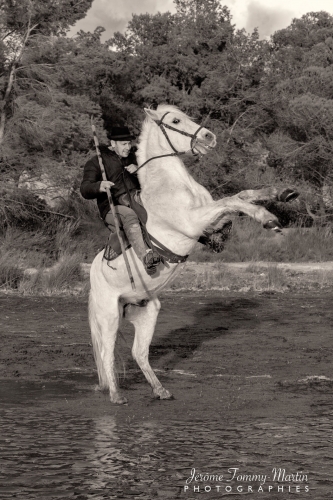 Camargue_378N&B