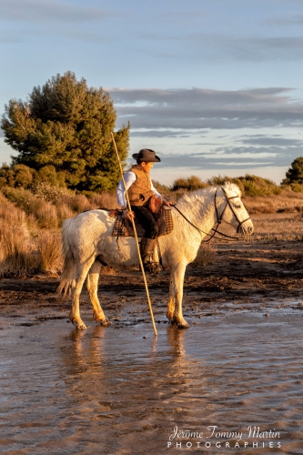 Camargue_608