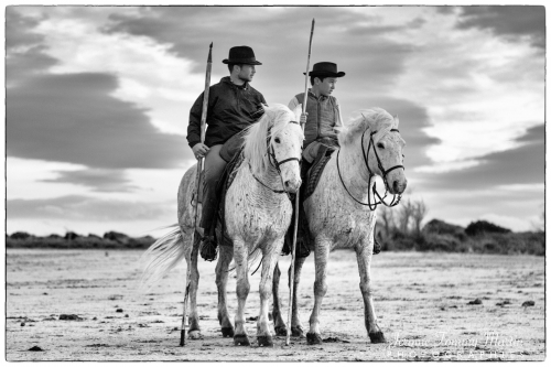 Camargue_854N&B