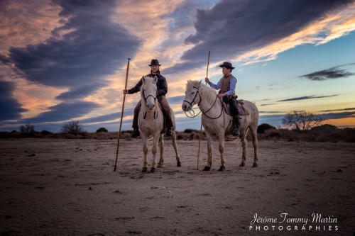 Camargue_882