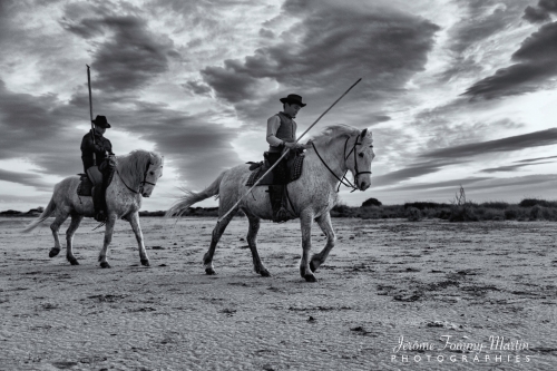 Camargue_897N&B