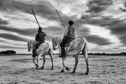 Camargue_911N&B