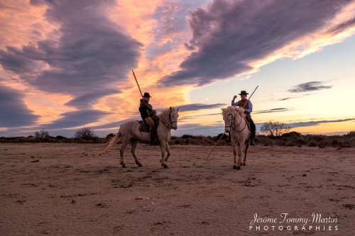 Camargue_913