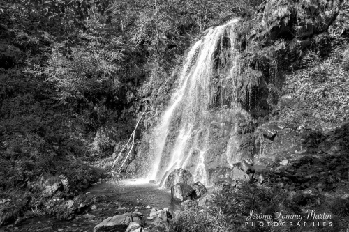 Copiac_631NB