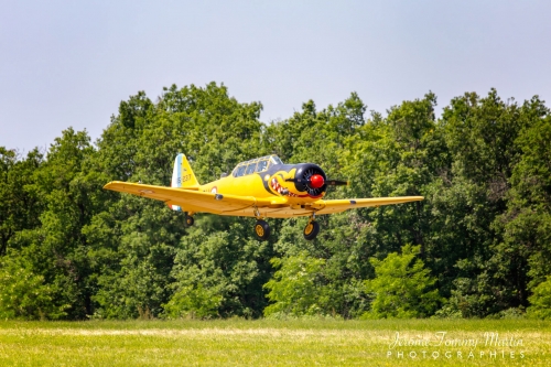 Ferté-Alais_2023_333