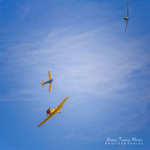Ferté-Alais_2023_369