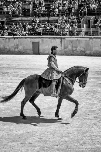 Germanicus_0234NB