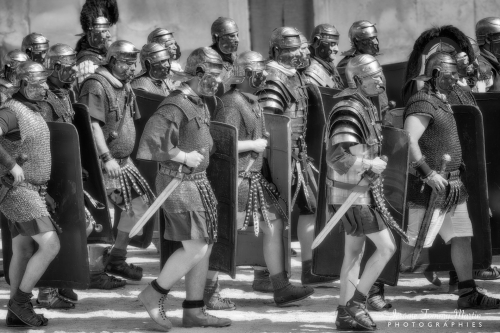 Germanicus_0637NB