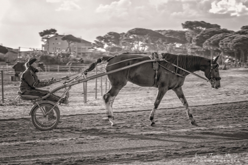 Hippodrome_JTM_097NB
