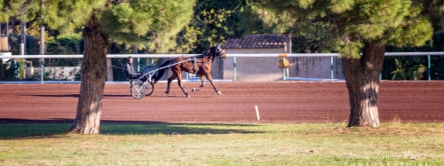 Hippodrome_JTM_123