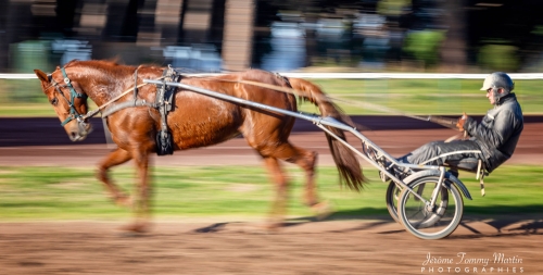 Hippodrome_JTM_231