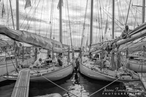 Lady Anne et Tuiga