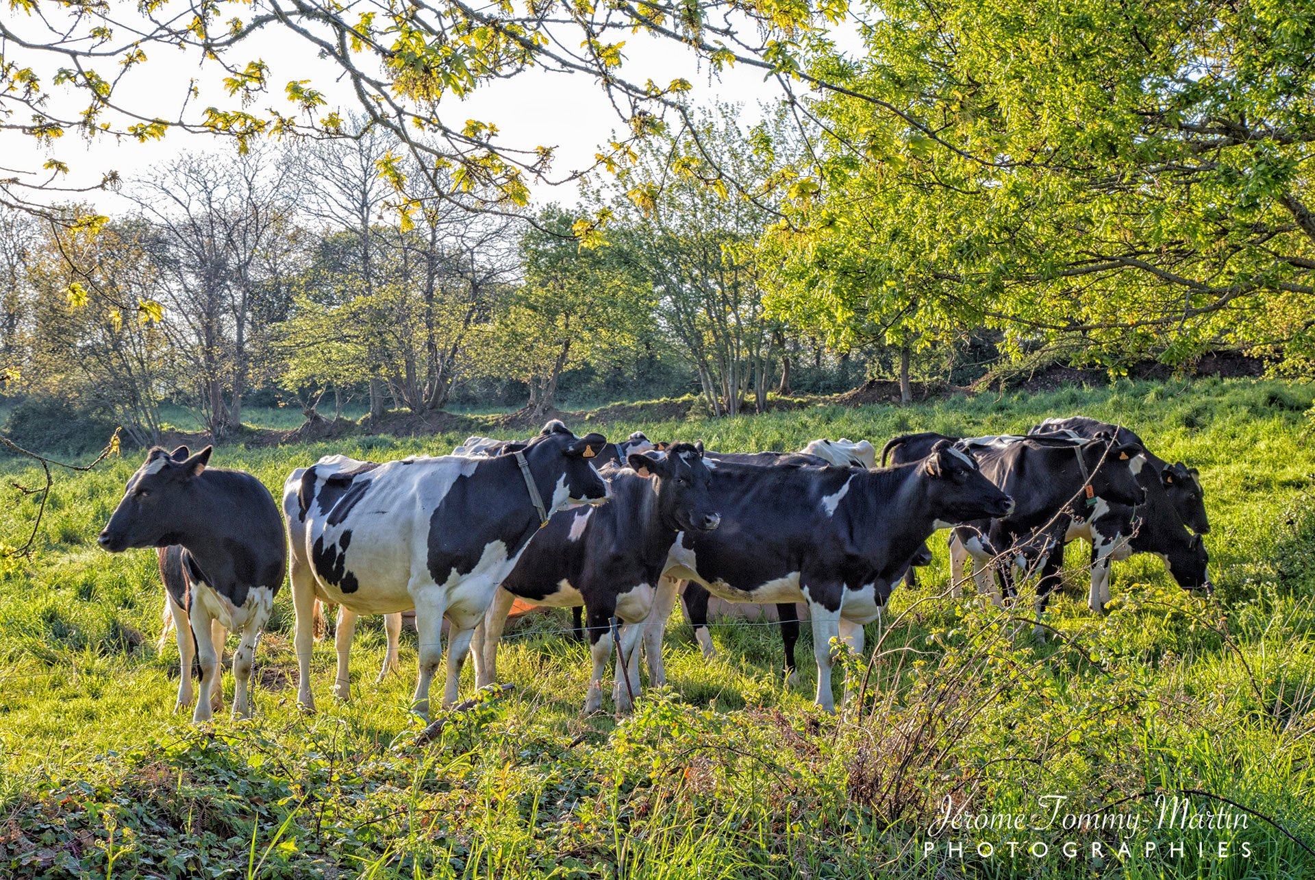 P2C-Bretagne_0033