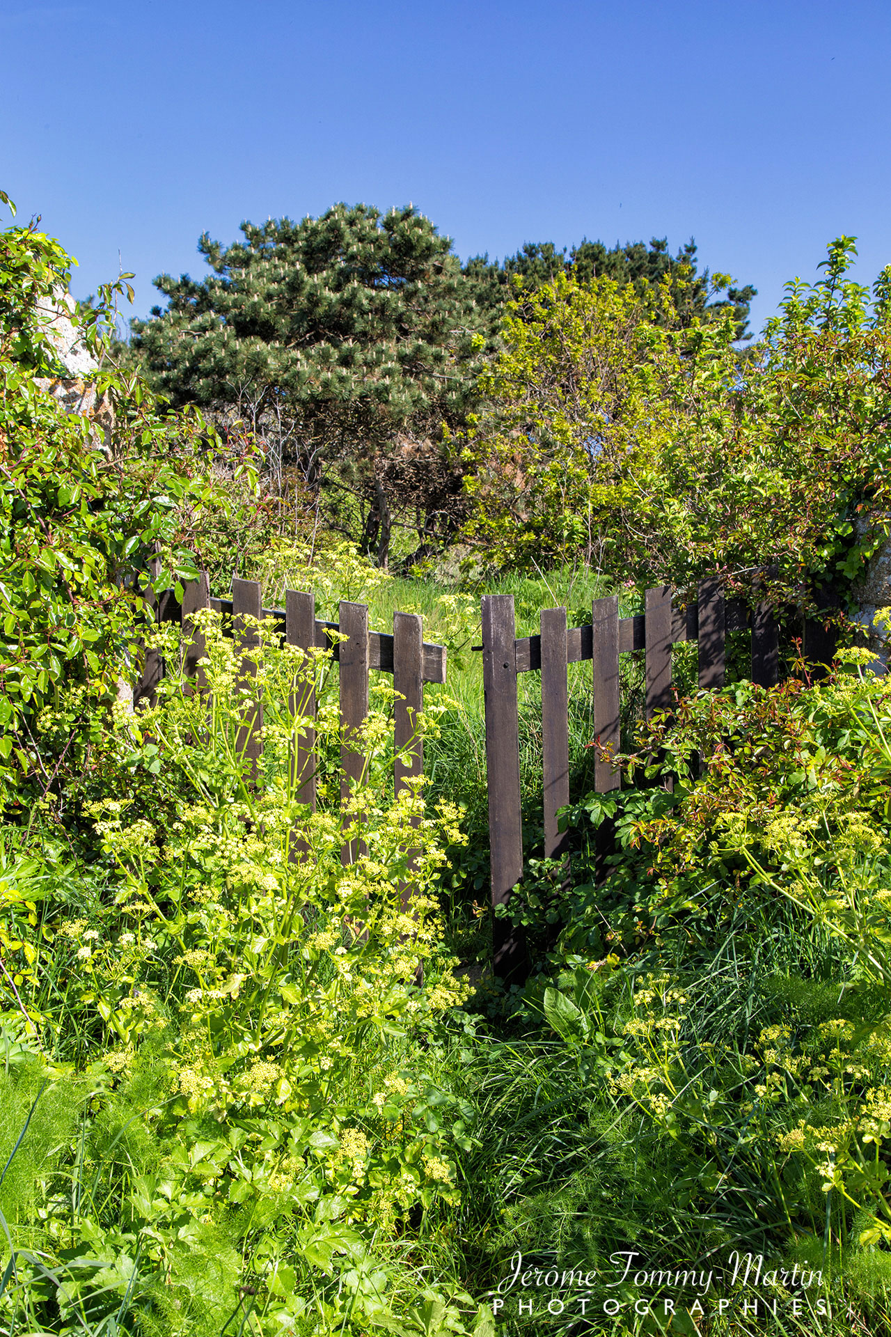 P2C-Bretagne_0859