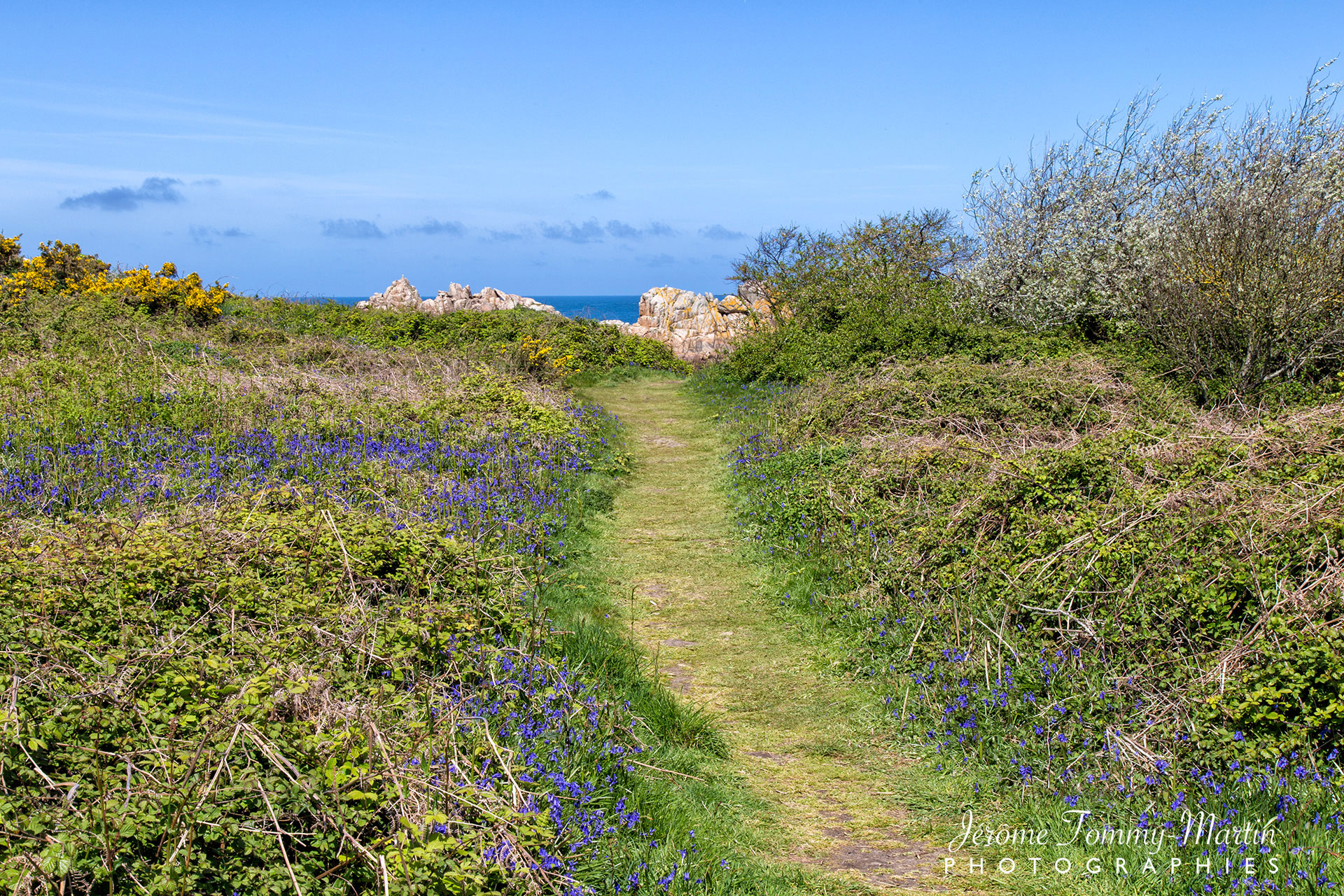 P2C-Bretagne_0935