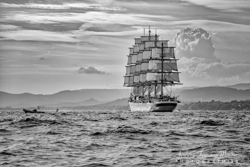Royal Clipper NetB