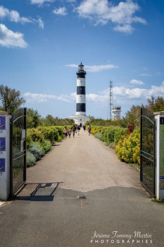 Royan_591