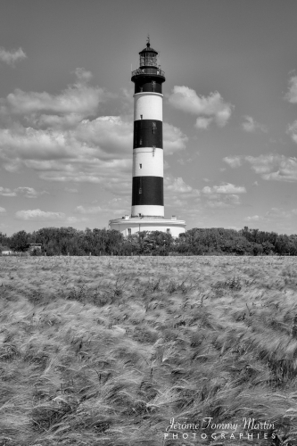 Royan_610NB